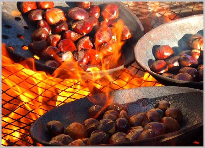 see you in portugal - مهاجرت به پرتغال