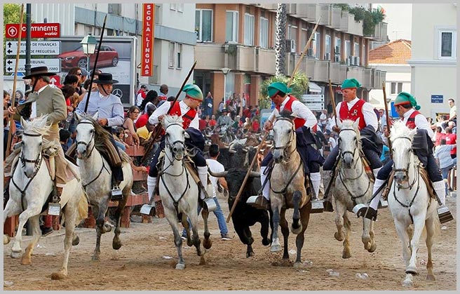 see you in portugal - مهاجرت به پرتغال